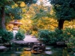 Japanese Garden