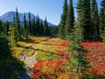 Early November in the Mount Adams Wilderness, Washington State