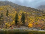 Autumn, Washington state