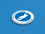 Brighton & Hove Albion F.C.