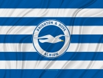 Brighton & Hove Albion F.C.