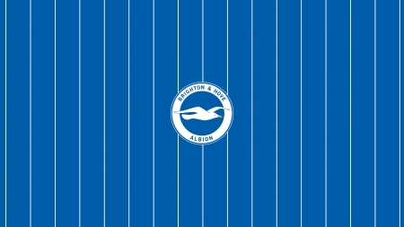 Brighton & Hove Albion F.C.