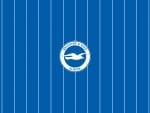 Brighton & Hove Albion F.C.