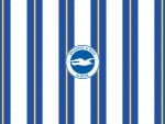 Brighton & Hove Albion F.C.