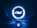 Brighton & Hove Albion F.C.