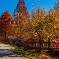 Gibbs Gardens, Georgia