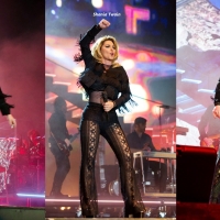 Shania Twain Celeb Collages 01