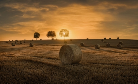 Bandar Permainan Taruhan Judi Bola Online Liga Sepak Bola Terlengkap - bandar judi bola sbobet, judi bola online, liga bola terlengkap, taruhan bola online