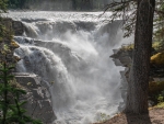 Alberta has no shortage of beautiful waterfalls, Jasper National Park