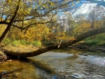 Alum Creek in Autumn, Ohio