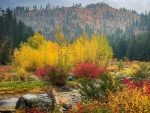 Fall near Leavenworth, Washington