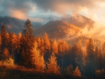 Morning Mist Over Autumn Forest