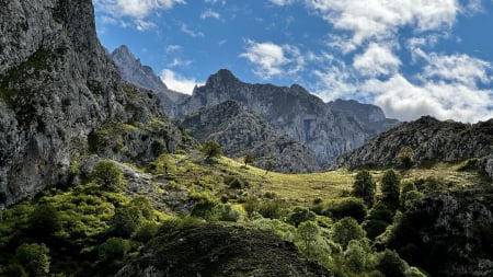 A meadow high in the Picos de Europa of northern Spain - sky, trees, landscape, rocks, clouds