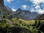 A meadow high in the Picos de Europa of northern Spain