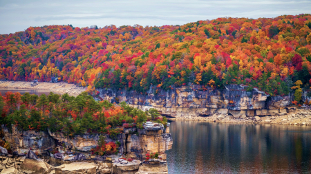 Summersville Lake State Park, West Virginia - trees, autumn, fall, water, leaves, colors, usa