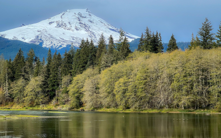 Mount Baker in fall - usa, trees, washington, river, water