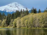 Mount Baker in fall