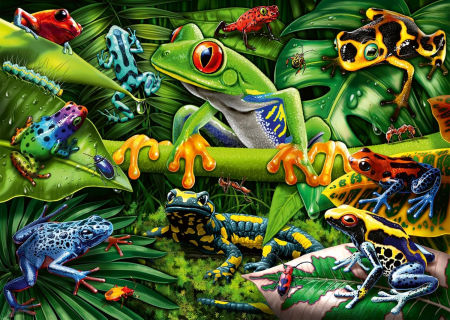 frogs - tree, lizards, puzzle, frogs