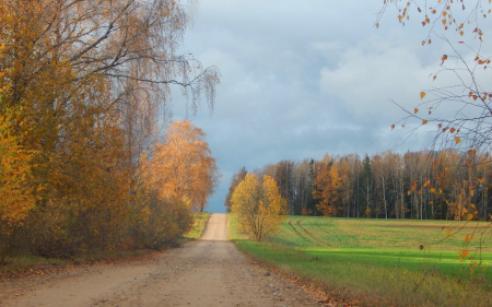 Autumn Road - path, road, fields, autumn, trees, Latvia