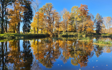 Autumn by Pond - Latvia, autumn, pond, trees