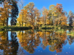 Autumn by Pond