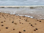 Pebbles on Beach