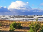 Beach in Latvia