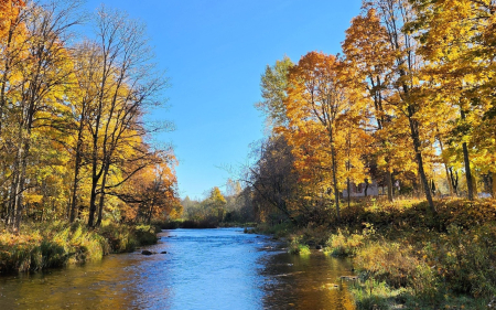 Autumn River - Latvia, autumn, trees, river