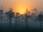 Sunrise over Moorland