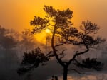 Sunrise over Moorland