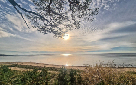 Beach in Latvia - Latvia, tree, sunshine, beach, calm