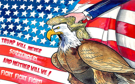 Never Give Up - freedom, flag, Eagle, wig