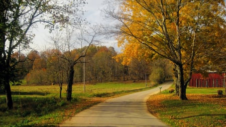 Autumn Road in Kentucky - landscape, trees, sky, fall, clouds, leaves, colors