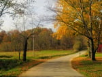 Autumn Road in Kentucky