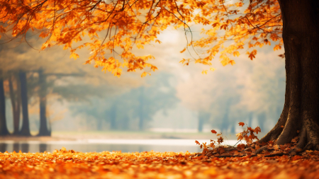 Golden leaves cover the ground - fall, water, trees, colors, autumn