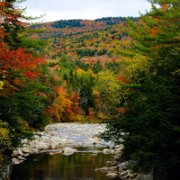 Fall colors in the White Mountain National Forest, Maine