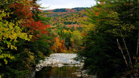 Fall colors in the White Mountain National Forest, Maine - autumn, landscape, trees, snow, river, stones, usa