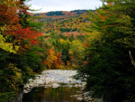 Fall colors in the White Mountain National Forest, Maine