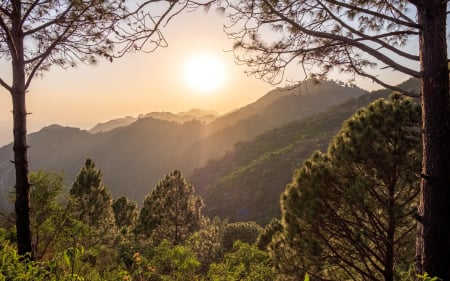 Margalla National Park at the Himalayan foothills, Pakistan - landscape, trees, sun, rocks, sky