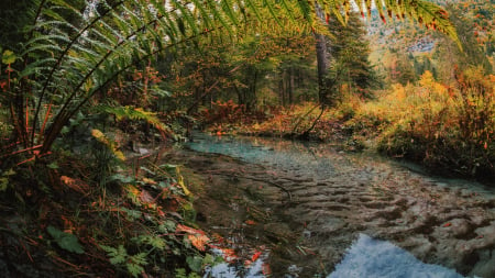 Idyllic tributary of the river Sarca springing from the Italian Alps and flowing into Lake Garda - stones, rocks, reflections, autumn, south tyrol, water