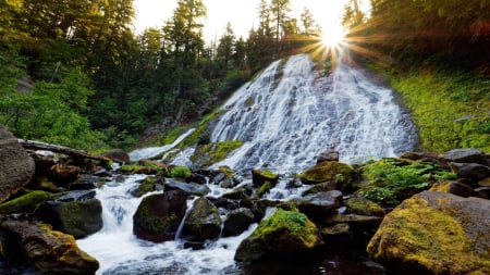 Sun rising over Diamond Creek Falls, Oregon - sun, river, cascades, trees, stones, usa