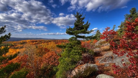 Blueberry Mountain, Ontario - sky, usa, landscape, rocks, clouds