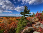 Blueberry Mountain, Ontario