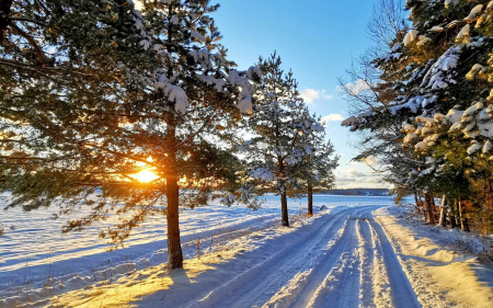 Snowy Road in Latvia - Latvia, winter, road, sunbeams, trees