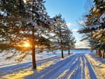 Snowy Road in Latvia