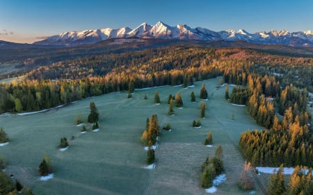 Tatra Mountains, Poland - Poland, spruces, mountains, Tatra