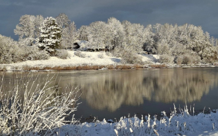 Snowy River - trees, Latvia, snow, river