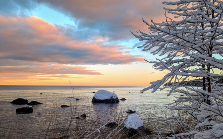 Winter Sunset - rocks, Latvia, winter, clouds, tree, sunset, sea, snow