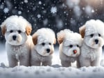 Dogs in the snow