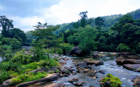 Keleni River, Sri Lanka - sky, plants, water, clouds, stones, trees